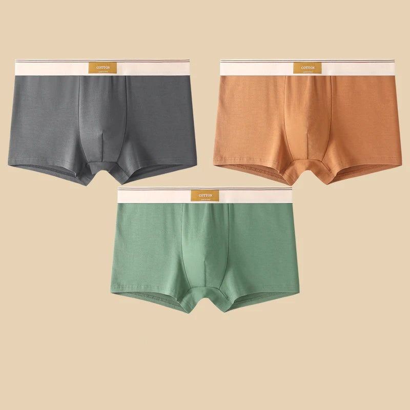 3Pcs Men's Underwear Hombre Panties Boxershorts Comfortable Breathable Cotton Underwear Sexy Underwear Solid Color Boxer Shorts