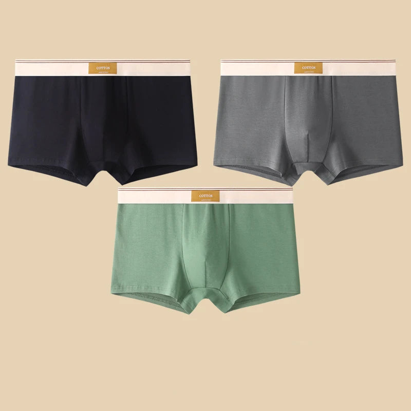 3Pcs Men's Underwear Hombre Panties Boxershorts Comfortable Breathable Cotton Underwear Sexy Underwear Solid Color Boxer Shorts