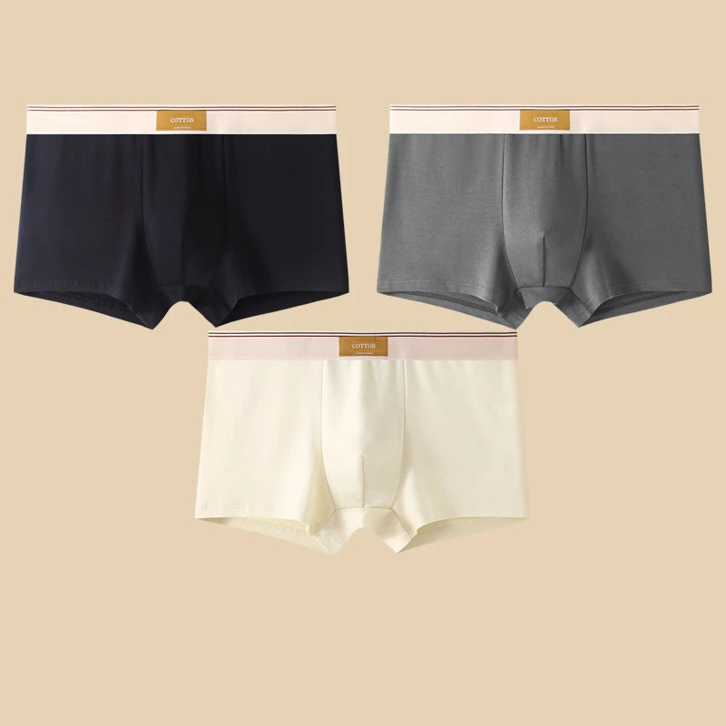 3Pcs Men's Underwear Hombre Panties Boxershorts Comfortable Breathable Cotton Underwear Sexy Underwear Solid Color Boxer Shorts