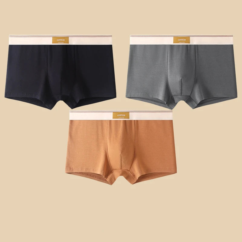 3Pcs Men's Underwear Hombre Panties Boxershorts Comfortable Breathable Cotton Underwear Sexy Underwear Solid Color Boxer Shorts