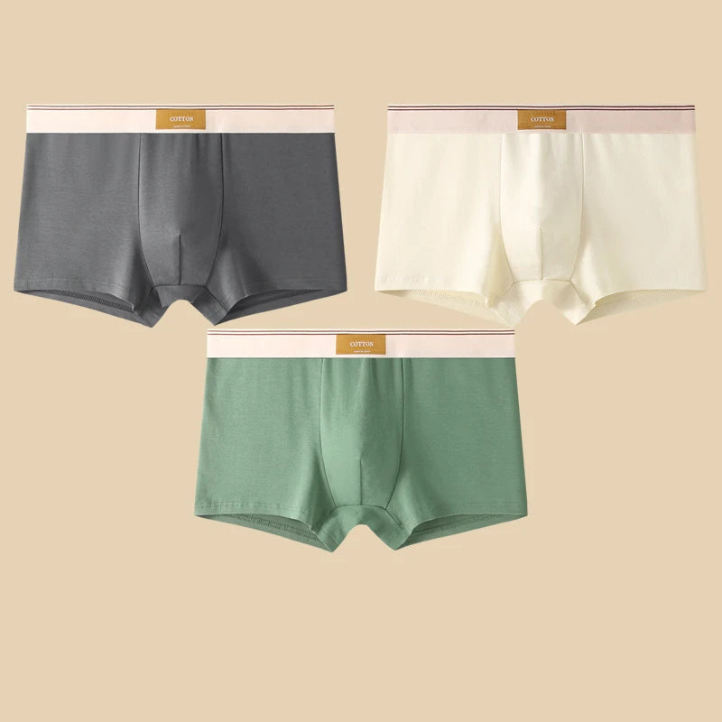 3Pcs Men's Underwear Hombre Panties Boxershorts Comfortable Breathable Cotton Underwear Sexy Underwear Solid Color Boxer Shorts
